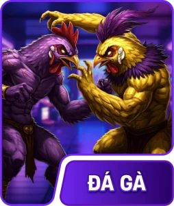 Đá gà HP66