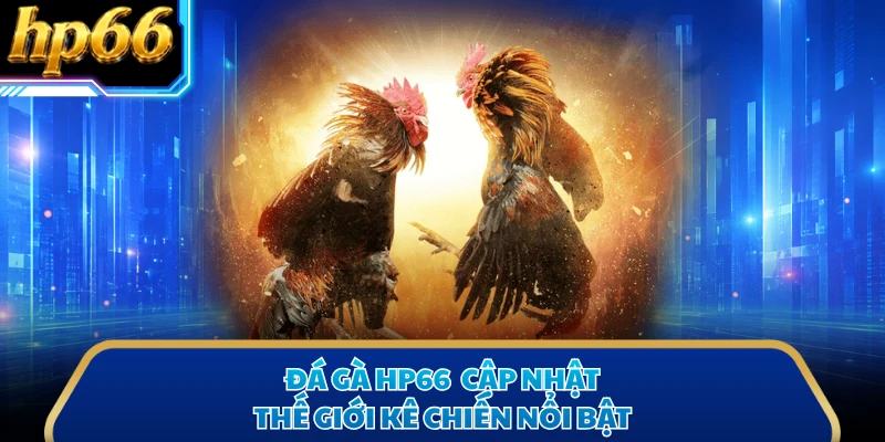 Đá gà HP66 cập nhật thế giới kê chiến nổi bật