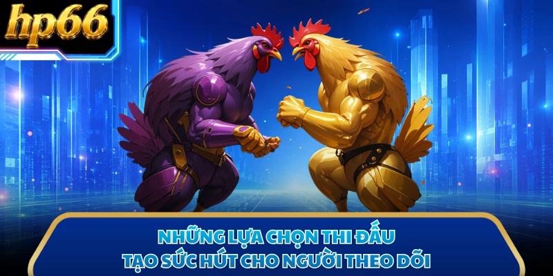 Những lựa chọn thi đấu tạo sức hút cho người theo dõi